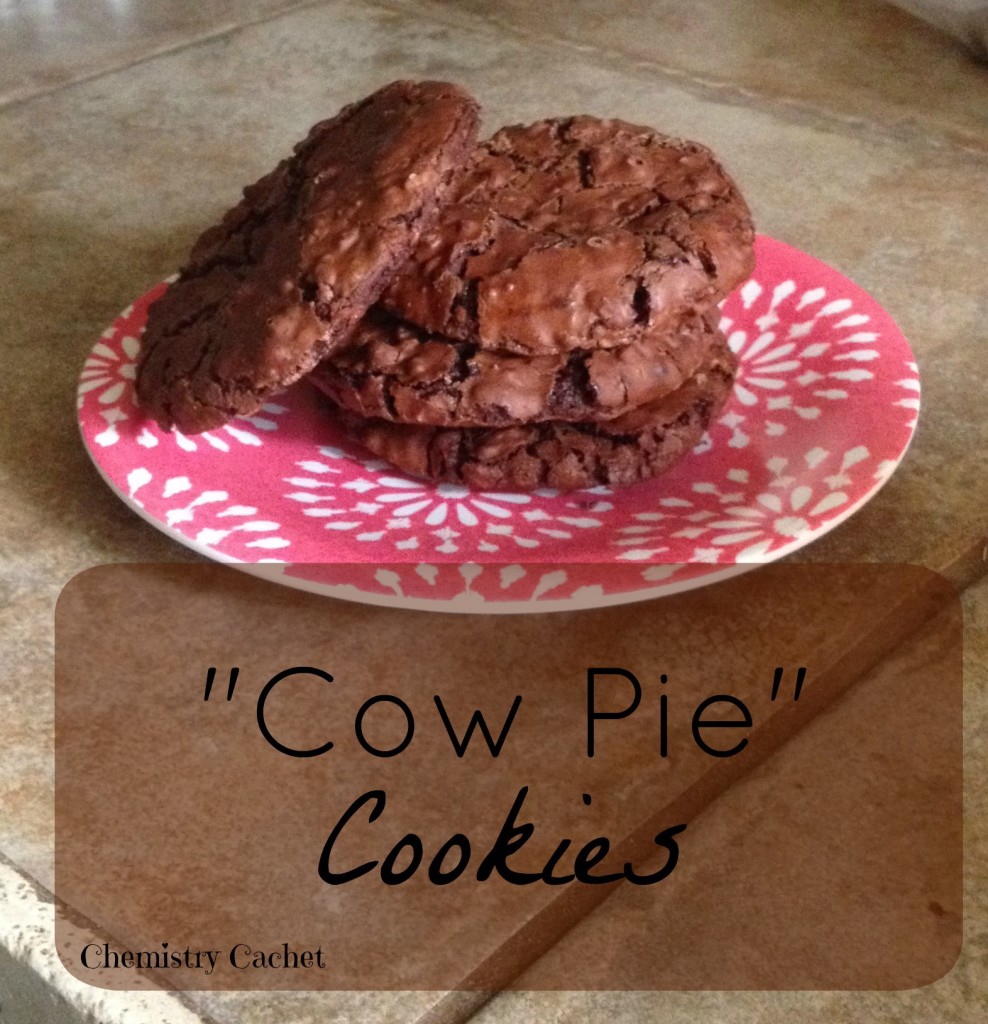 Cow Pie Cookies (heavenly chocolate cookies!)