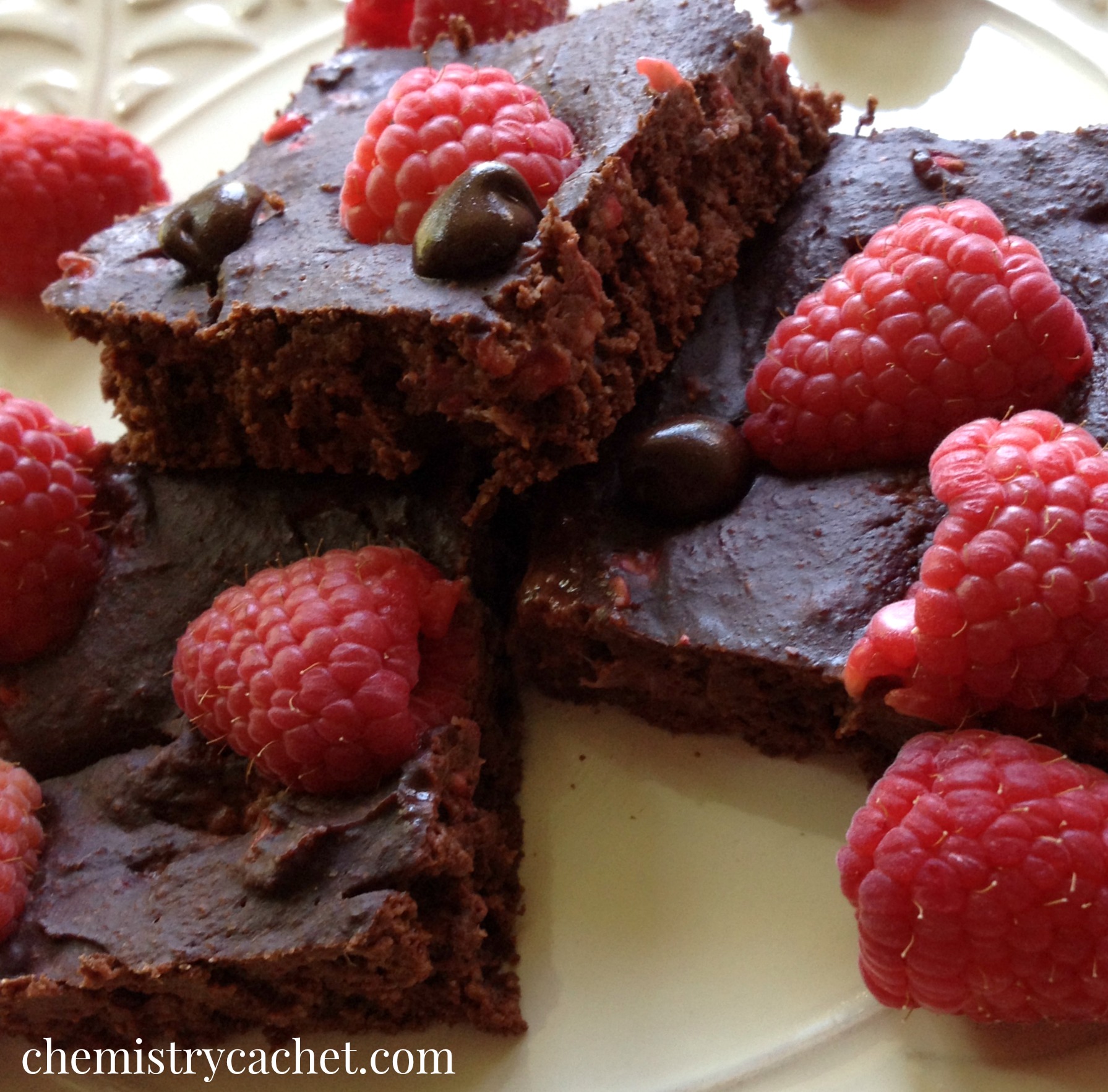 Healthy Raspberry Oat Brownies | Chemistry Cachet