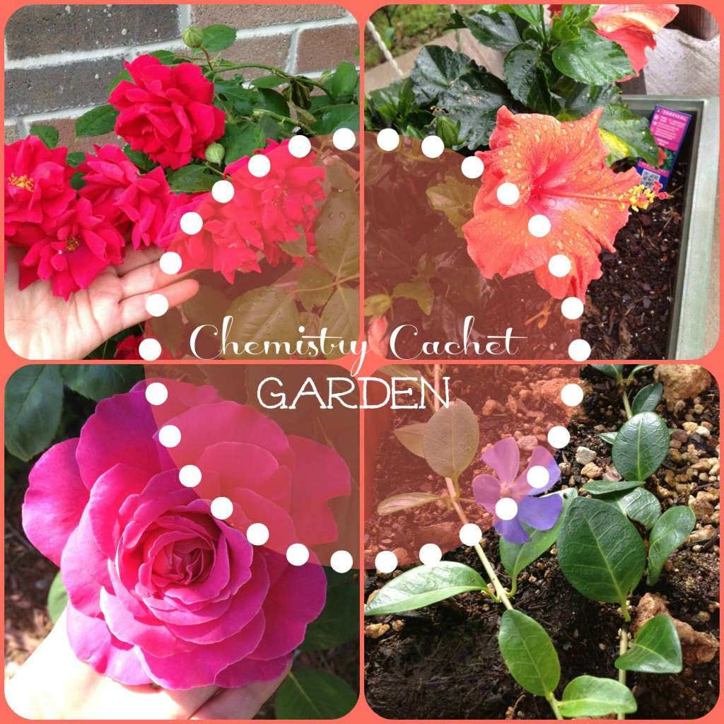 gardenphotos1