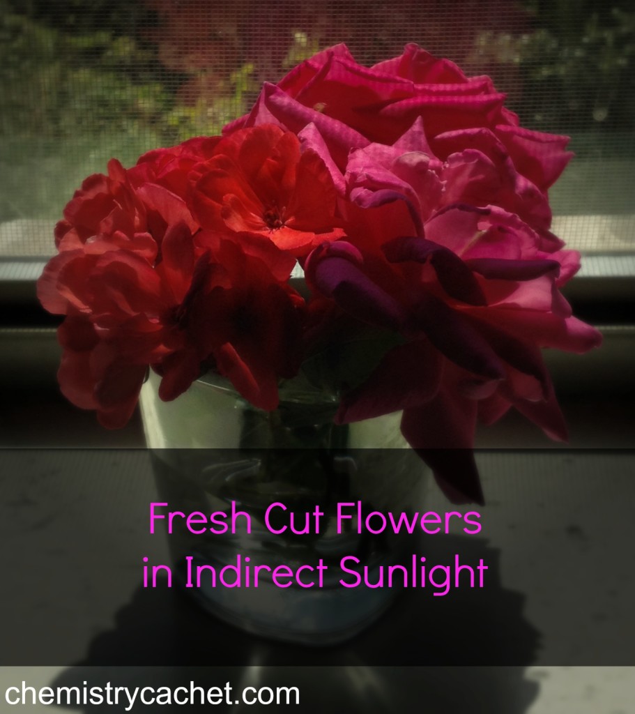 Always put fresh cut flowers in indirect sunlight chemistrycachet.com
