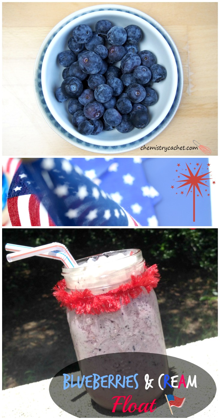 Blueberries and Cream Float that is healthy, delicious, refreshing and Perfect for the 4th of July! Find this easy recipe on chemistrycachet.com