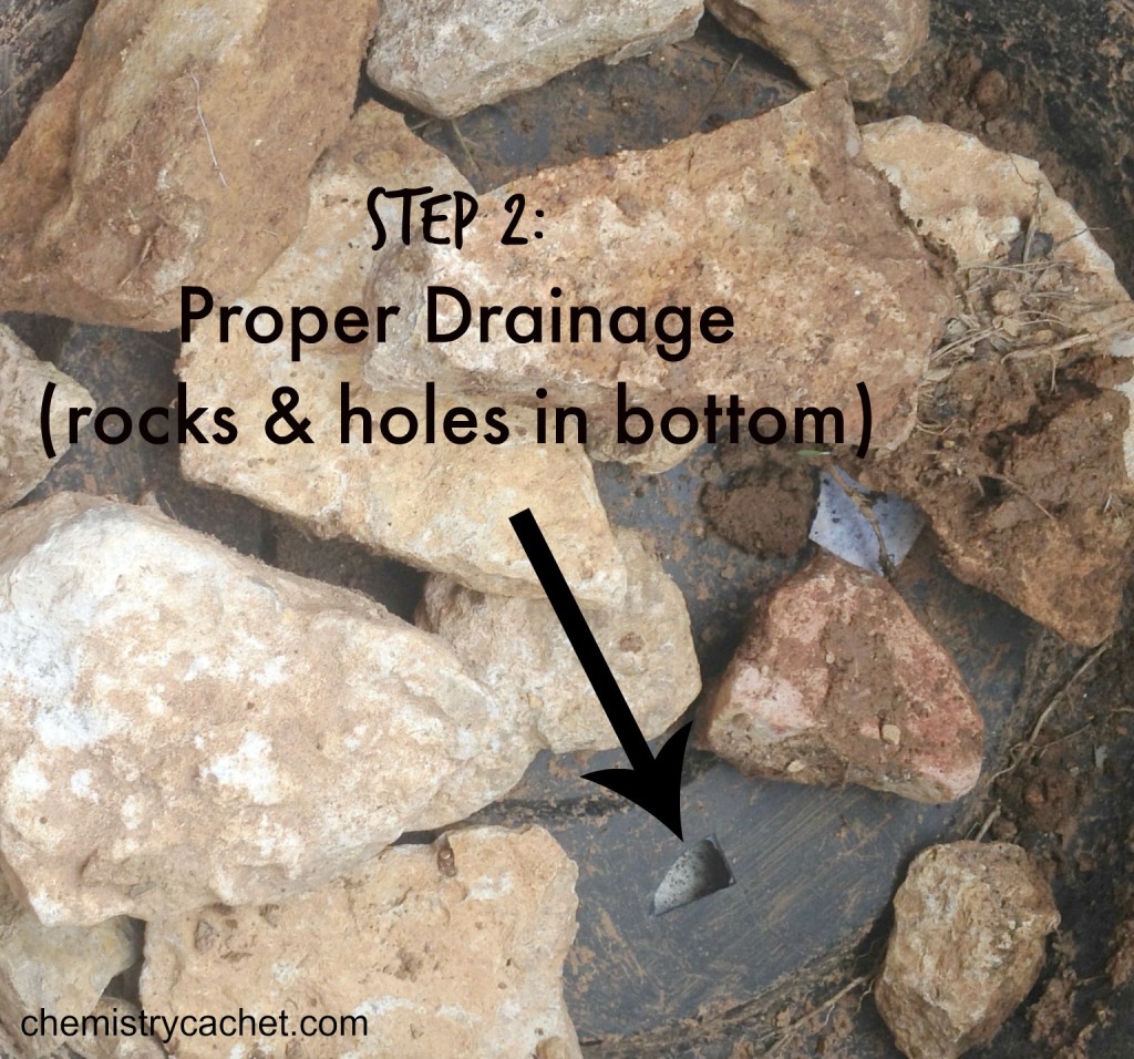 Step 2 Make sure to have proper drainage chemistrycachet.com