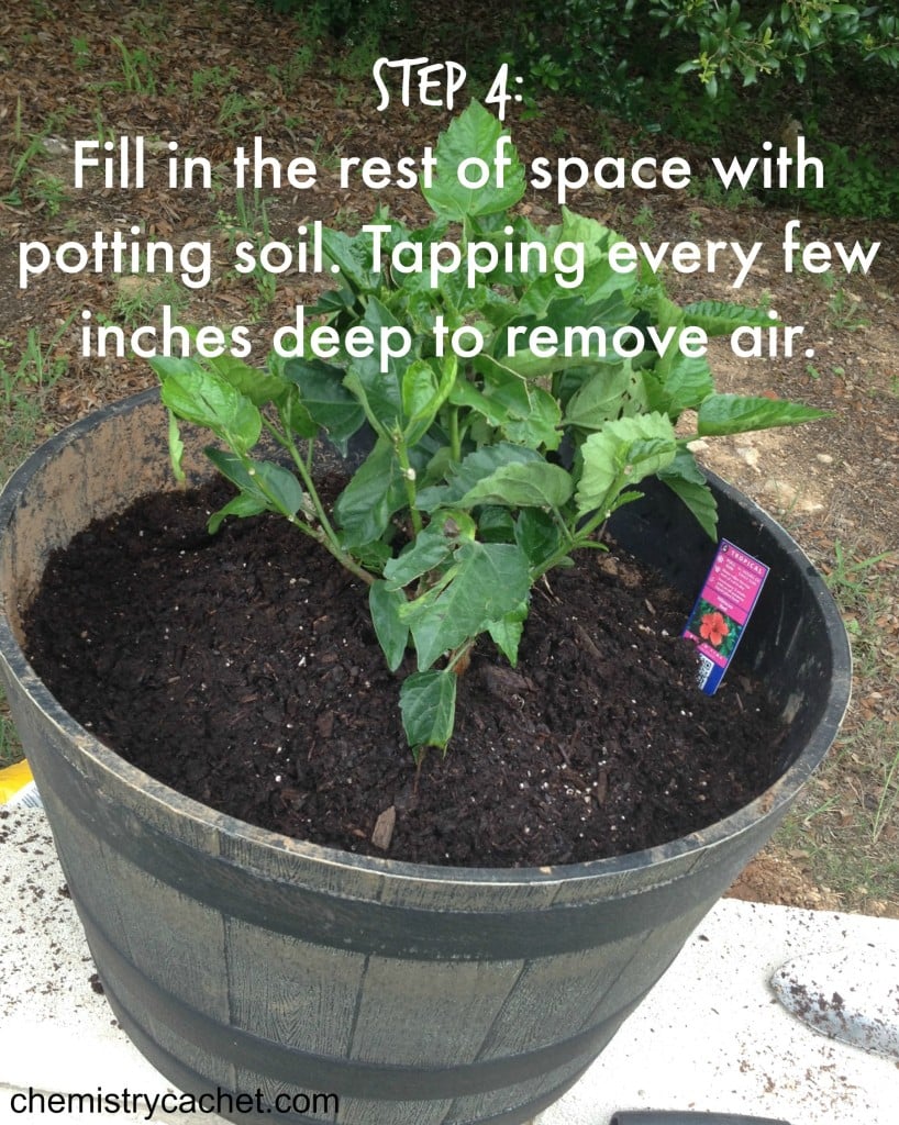 Step 4 Fill in the rest of the space with potting soil.