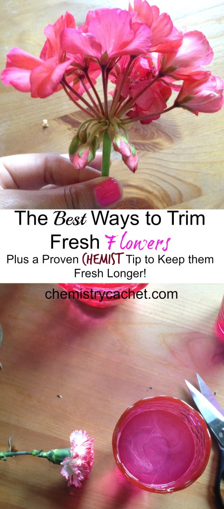 The Best Ways To Trim Fresh Flowers Plus a Proven Tip to Keep the Fresh Longer on chemistrycachet.com