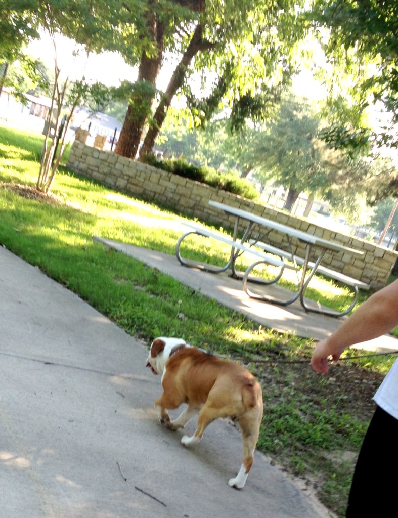 Walk at the park