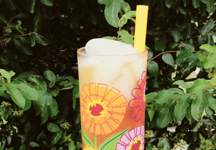 Vintage Sparkling Raspberry Green Tea