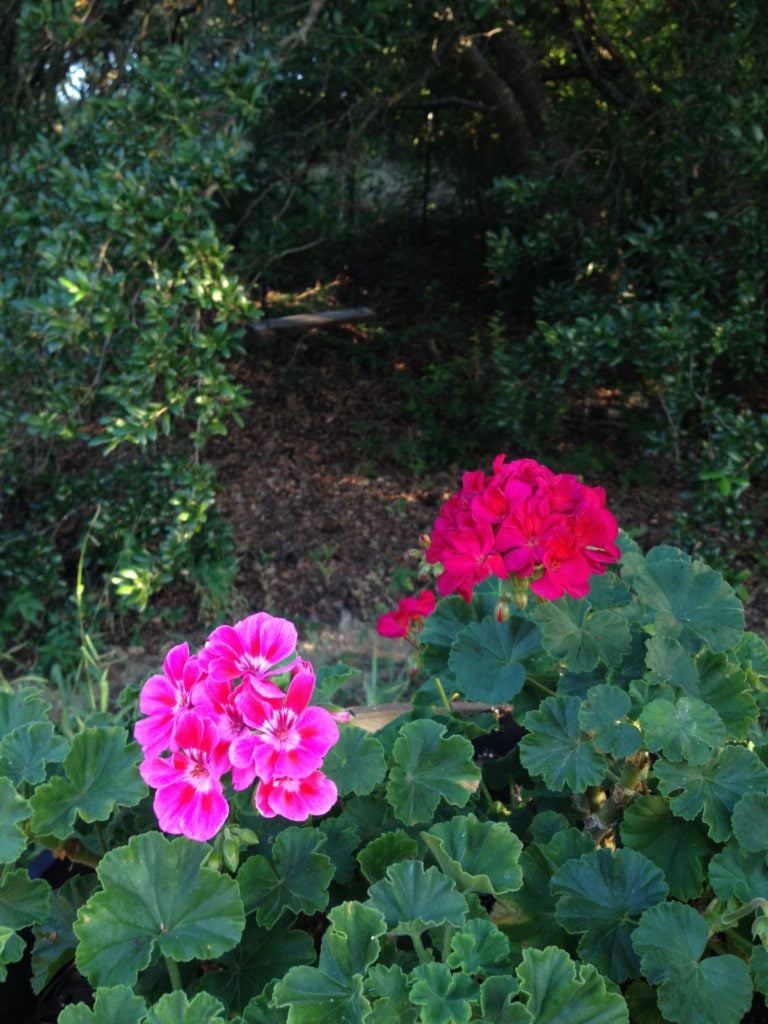 2015-07-18 07.21.32