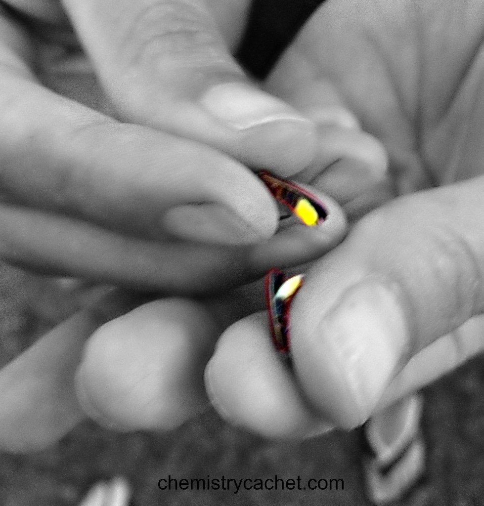 Fireflies, a summer tradition chemistrycachet.com
