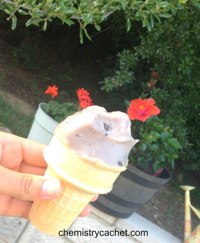 Picnic lunch and homemade froyo in the backyard for our staycation chemistrycachet.com