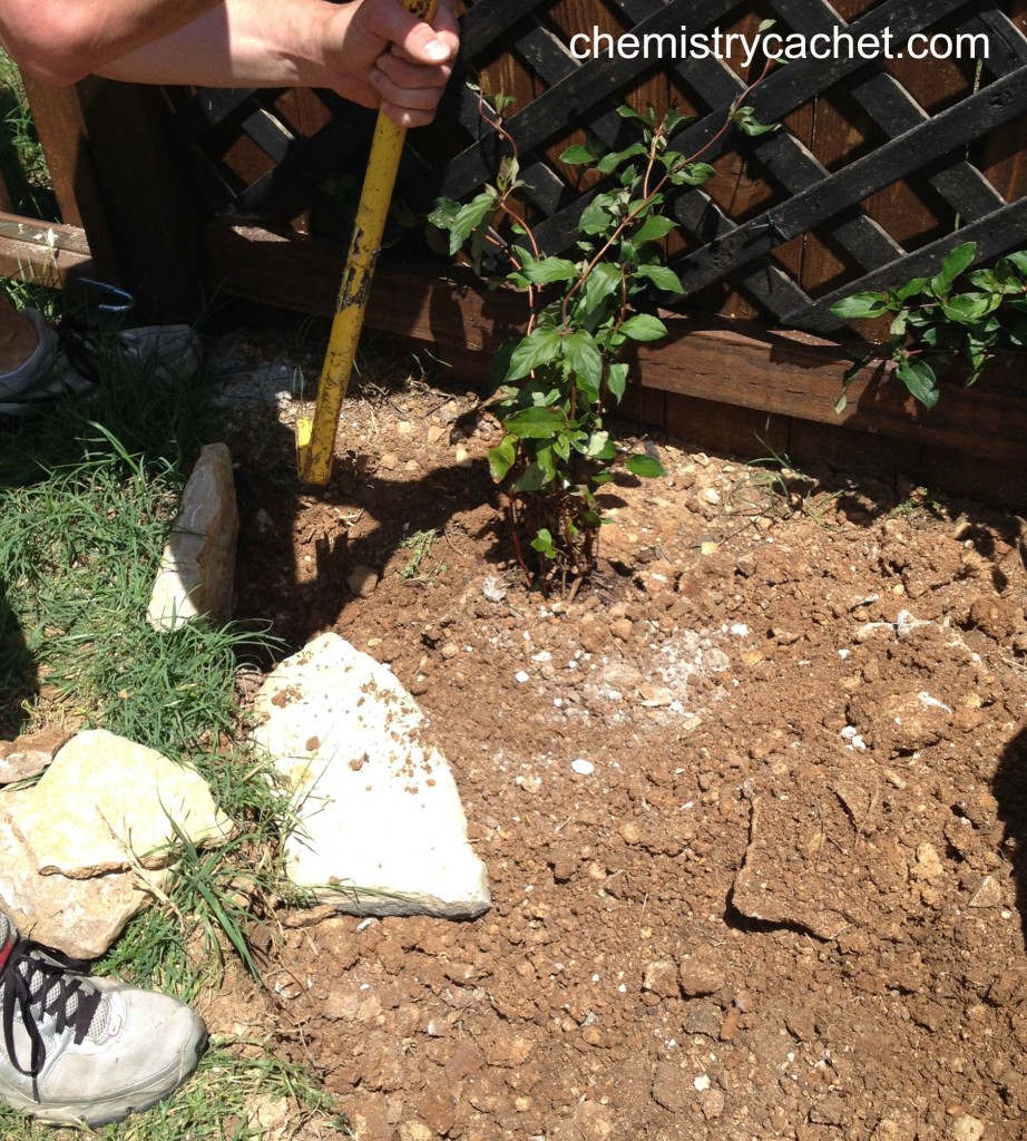 Transform an ugly corner by the fence into a cute little garden for little money! 