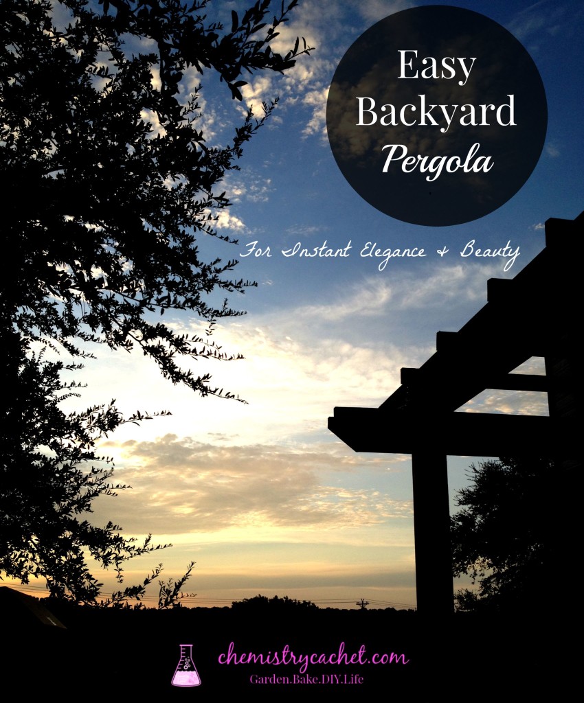 Adding a simple pergola to your backyard instantly adds elegance and beauty! Here is how we made our own inexpensively. 