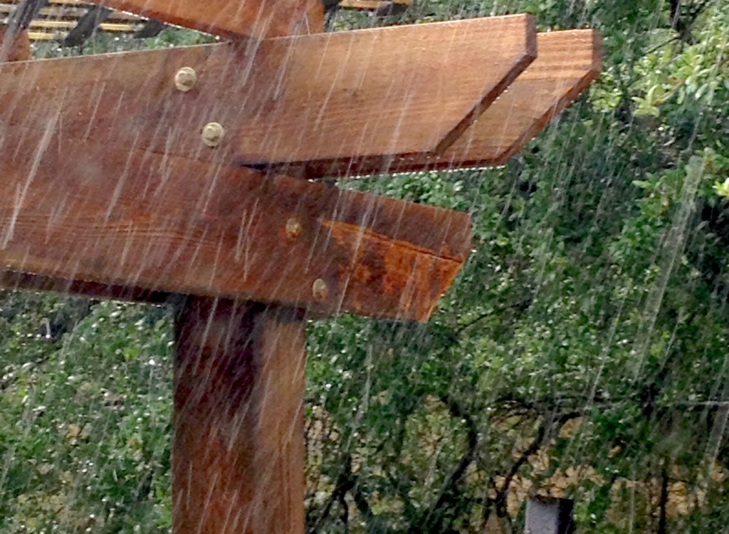 In the rain chemistrycachet.com
