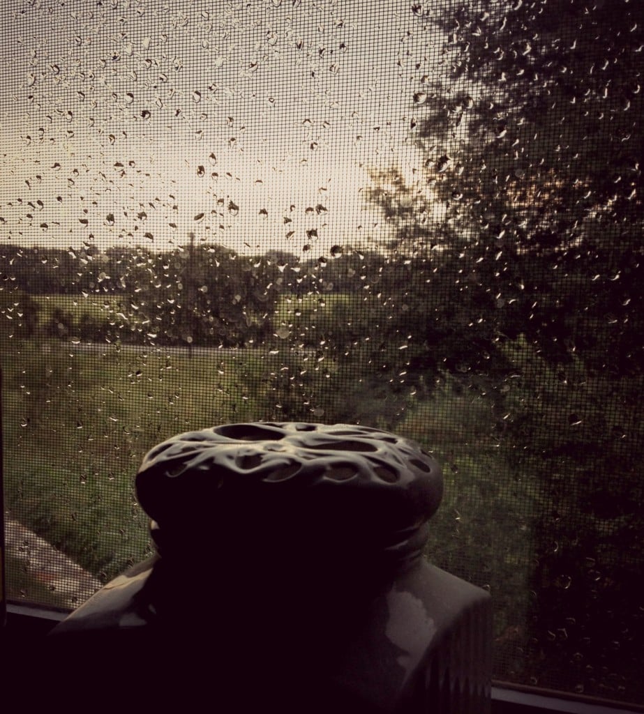 Rain from the kitchen window