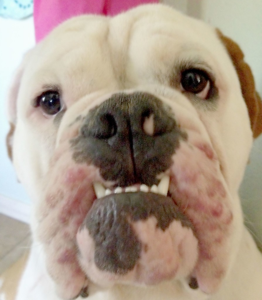 favorite face