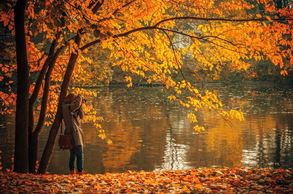 8 Fantastic Autumn Inspired teas