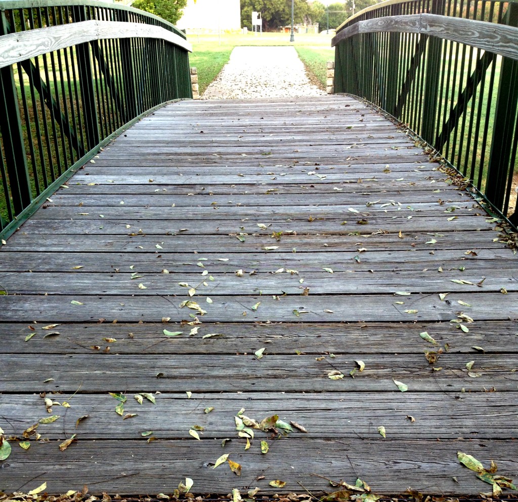Signs of fall chemistrycachet.com