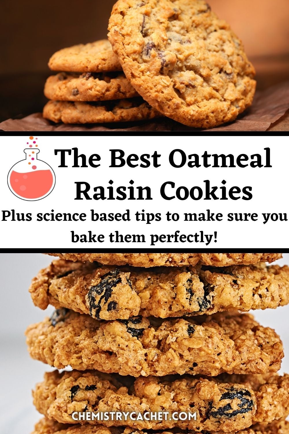 The Best Oatmeal Raisin Cookies