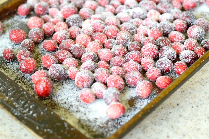 Frosted Cranberries Recipe. Easy and Beautiful! Plus sugar free cranberries on chemistrycachet.com
