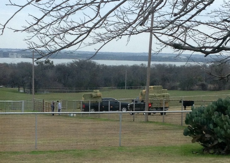 Texas New Year
