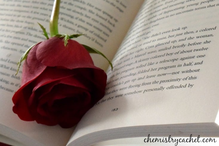 Amazing books to read this winter! (or anytime of year!)