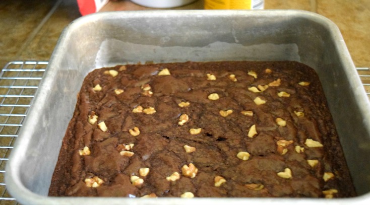 Super Easy Dairy-free Dutch Brownies!