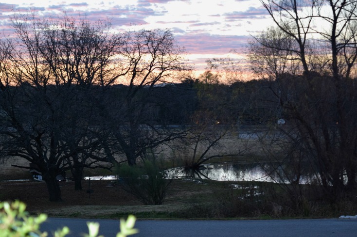 Jan 11th Winter Sunrise in Texas