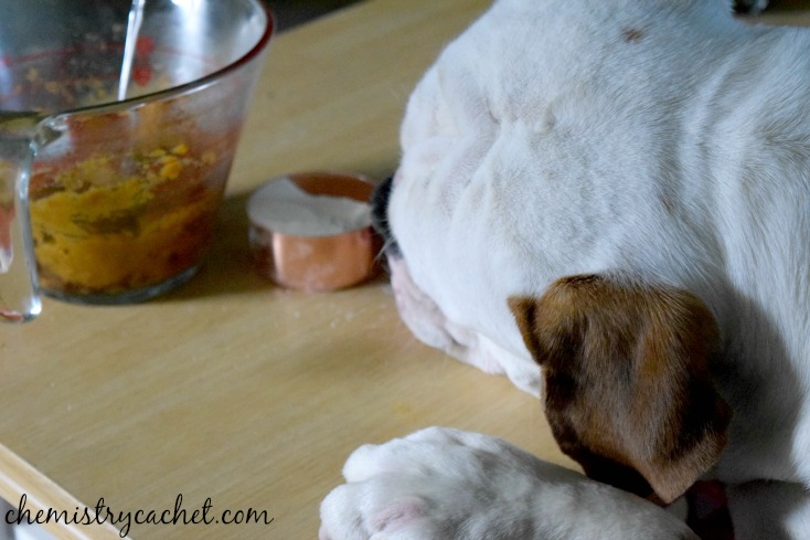 Super Easy Sweet Potato Dog Treats