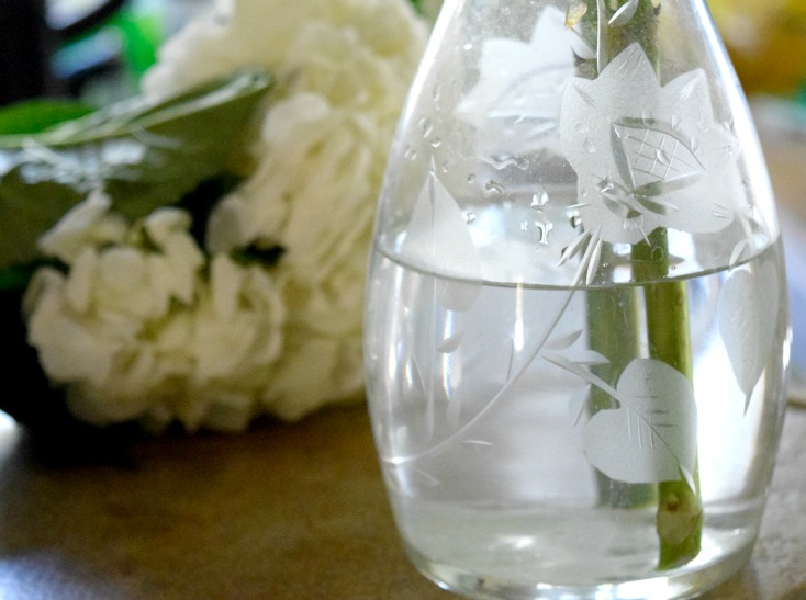 7 Tips to Extend the Life of Valentine's Day Flowers