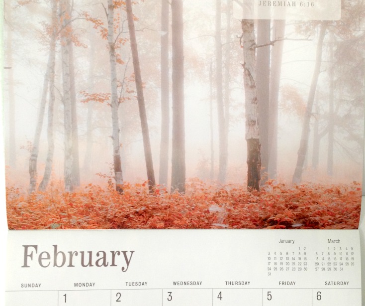 Feb 1