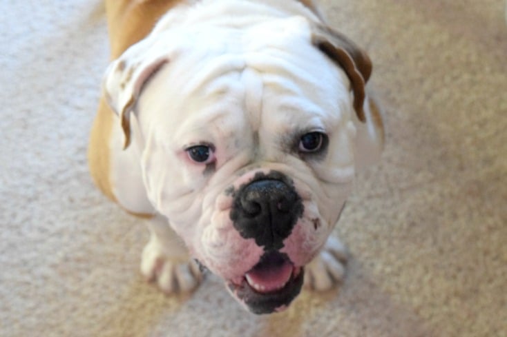 Friday Favorites - Happy Valentine's Day from Ruger!