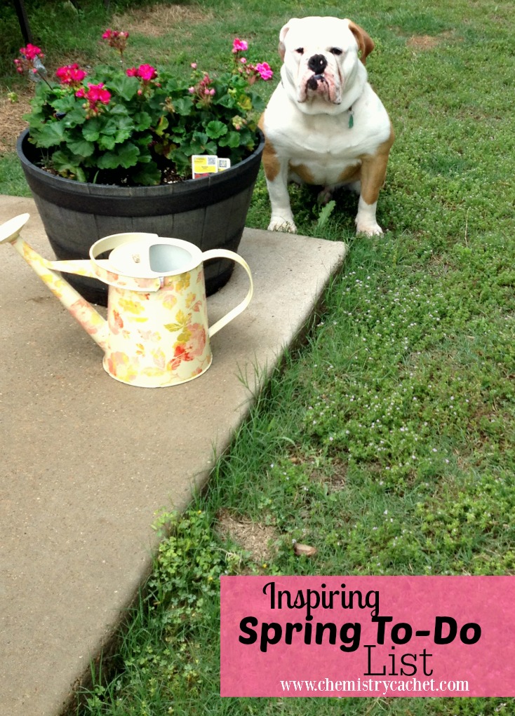 My inspiring spring to-do list I look foward to every year! Stop by for some inspiration to add to your list this spring!