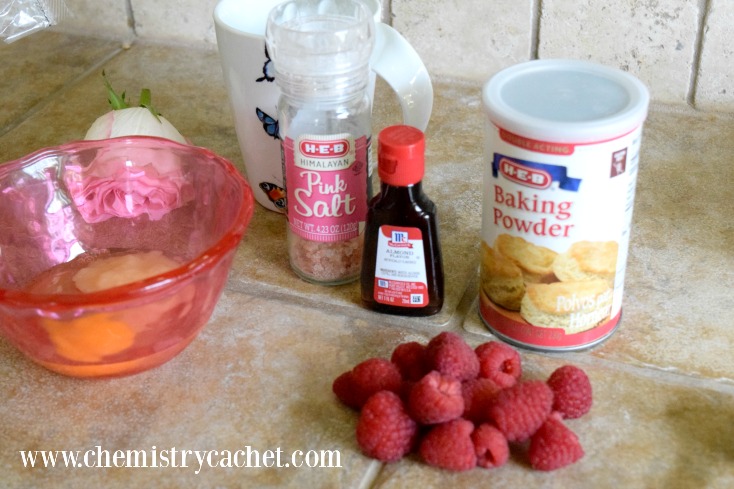 Light & refreshing raspberry muffin in a mug in under 2 minutes! Dairy-free with gluten-free option on chemistrycachet.com