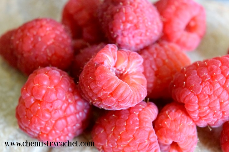 Light & refreshing raspberry muffin in a mug in under 2 minutes! Dairy-free with gluten-free option on chemistrycachet.com