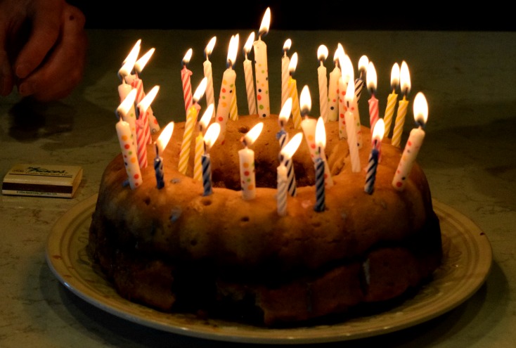 Bulldog Birthday Edition! #rugerthebulldog