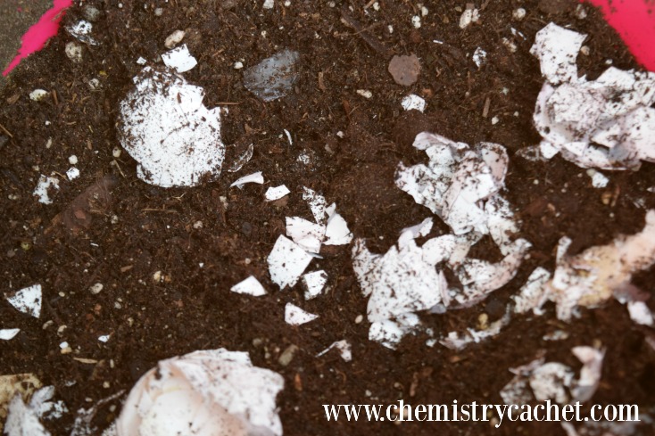 The Complete Guide to Mini Roses Part one is How to Pot a Mini Rose Bush!