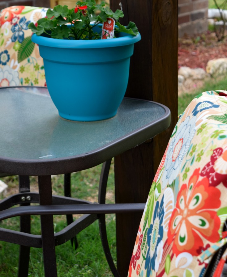 All about summer berries and backyard living!