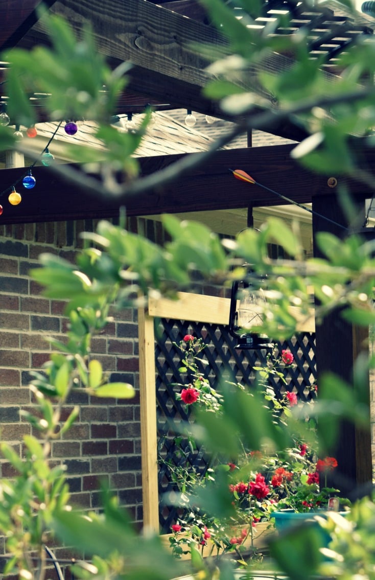 11 Cheap Backyard Ideas to Create a Dreamy, Inviting Ambiance on chemistrycachet.com