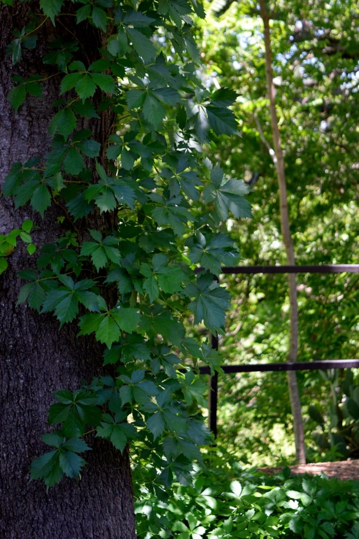 11 Cheap Backyard Ideas to Create a Dreamy, Inviting Ambiance on chemistrycachet.com