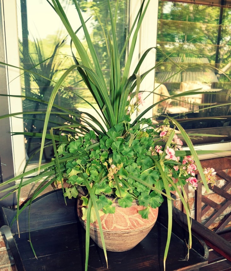 11 Cheap Backyard Ideas to Create a Dreamy, Inviting Ambiance on chemistrycachet.com