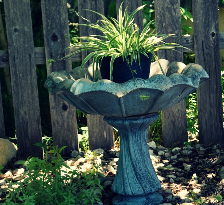 11 Cheap Backyard Ideas to Create a Dreamy, Inviting Ambiance on chemistrycachet.com