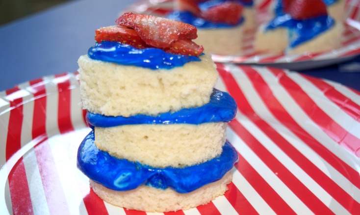 Fast Easy 4th of July Ideas!