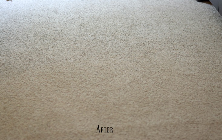 Chemistry Cachet's Homemade Carpet Cleaner Recipe. Safe, easy, and cheap carpet stain remover plus chemist tips on WHY it works!