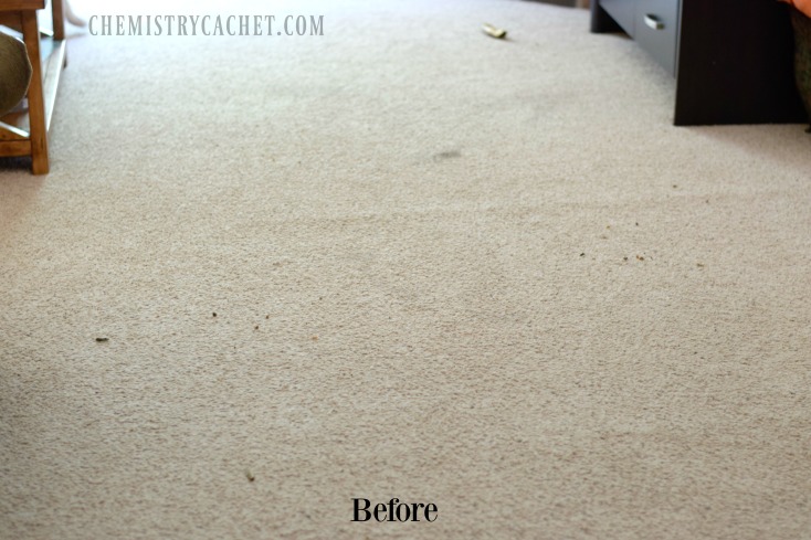 Chemistry Cachet's Homemade Carpet Cleaner Recipe. Safe, easy, and cheap carpet stain remover plus chemist tips on WHY it works! on chemistrycachet.com