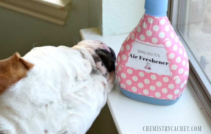 Easy Homemade Air Freshener Recipe infused with orange and rose! Find these easy steps for homemade air freshener on chemistrycachet.com