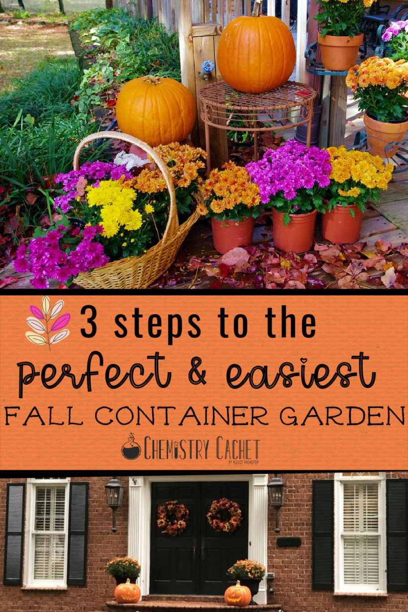 The Complete Fall Container Garden Guide in Three Steps