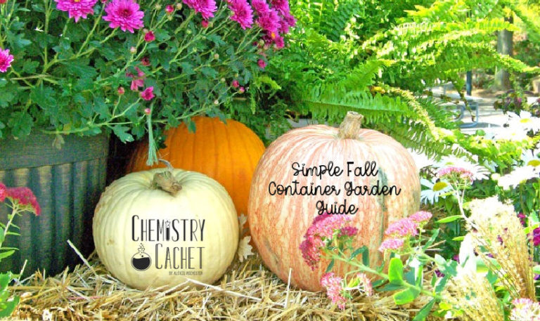 The Complete Fall Container Garden Guide in Three Steps