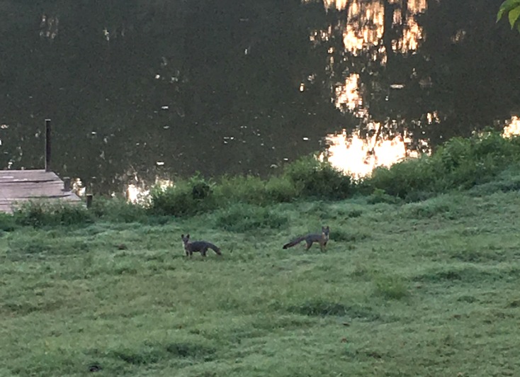 Friday Favorites - Beautiful September Evenings