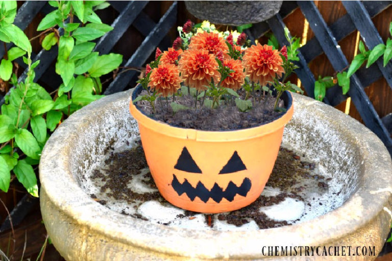 Almost Free DIY Pumpkin Planter for Fall
