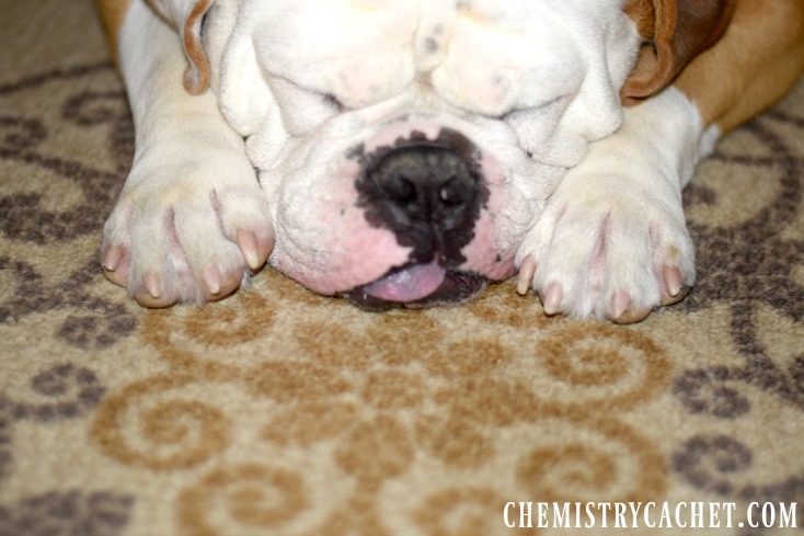 Friday Favorites - Being Professional with your brand on chemistrycachet.com