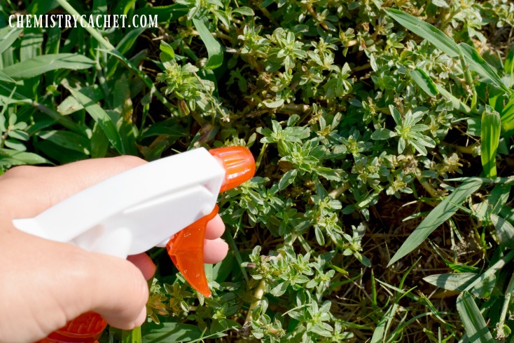 How to make weed killer: a quick, easy homemade solution